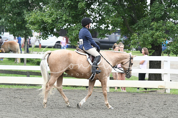HSM_2017