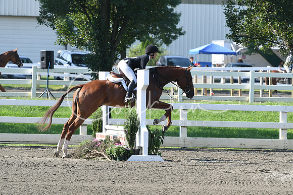 HSM_0039
