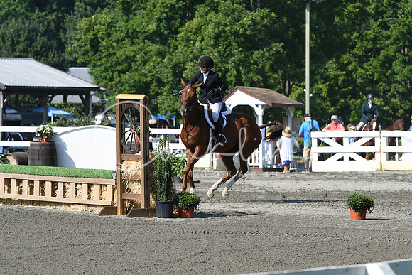 HSM_0042