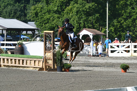 HSM_0043