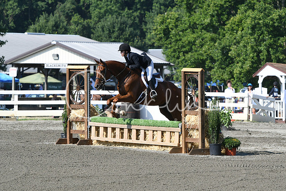 HSM_0047