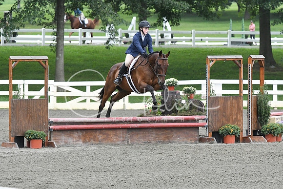 HSM_2028