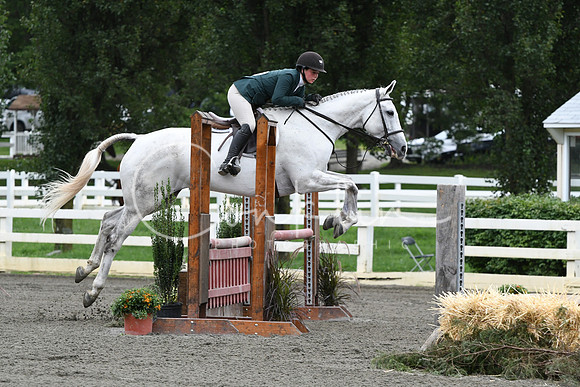 HSM_4287