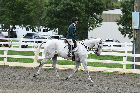 HSM_4292