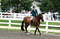HSM_4229