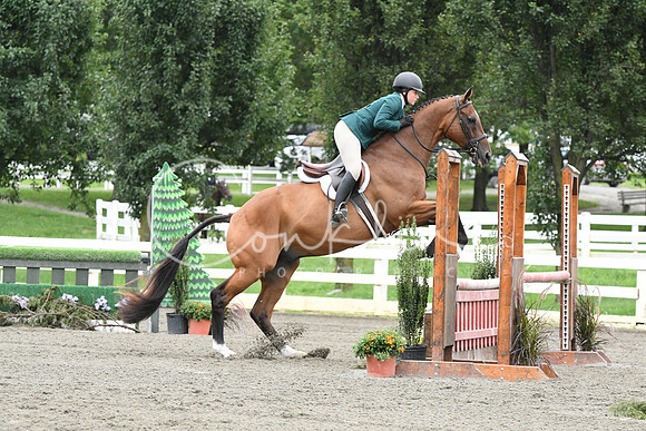 HSM_4234