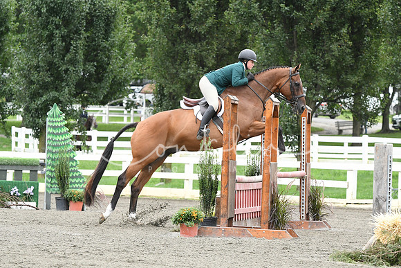 HSM_4235