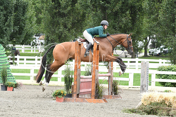 HSM_4236
