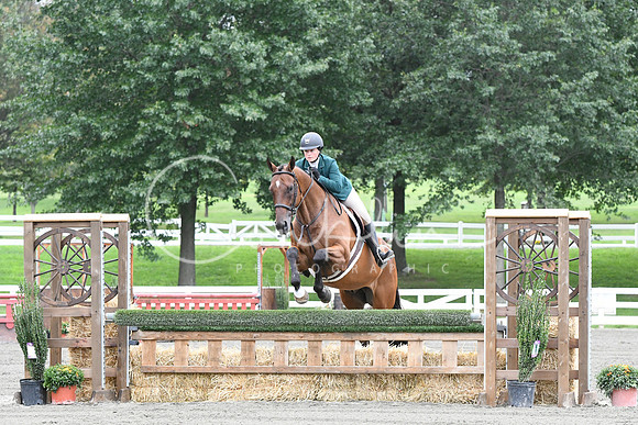 HSM_4241