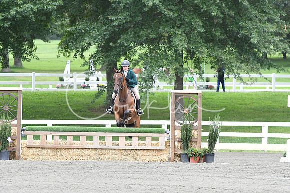 HSM_4263
