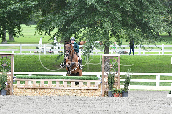 HSM_4264