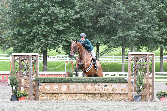 HSM_4266