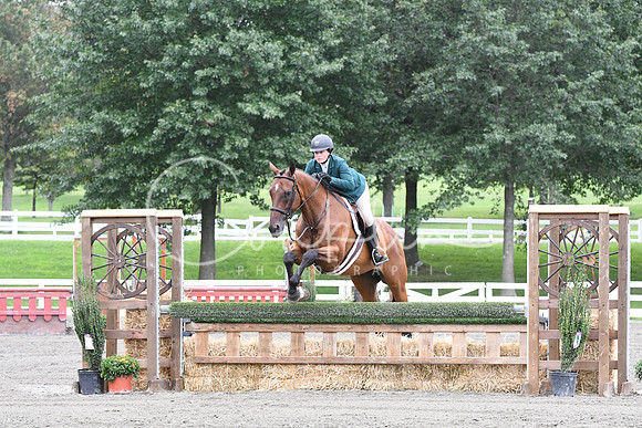 HSM_4267