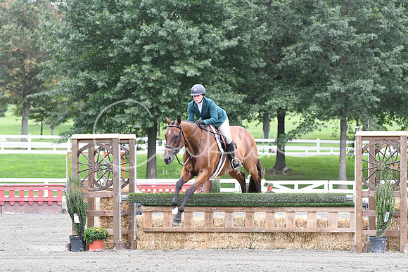 HSM_4268
