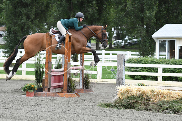 HSM_4274