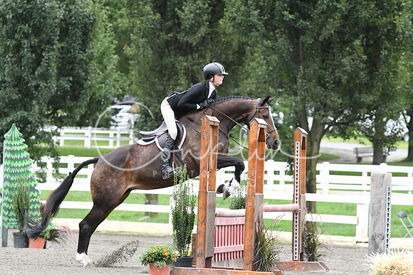 HSM_4356
