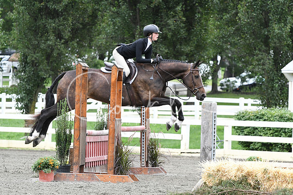 HSM_4384