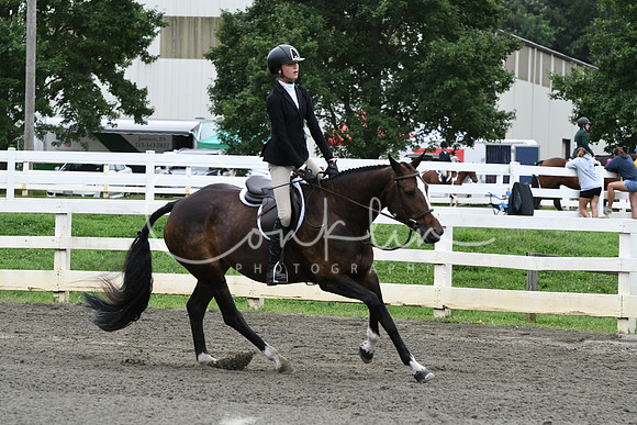 HSM_4385