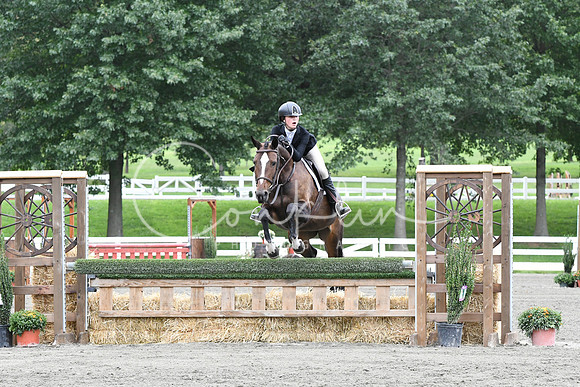 HSM_4391