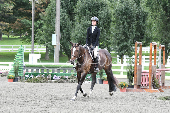 HSM_4396