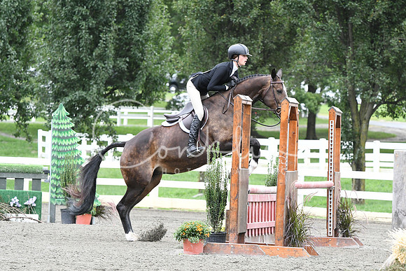 HSM_4421