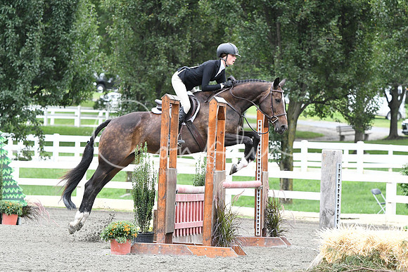 HSM_4422