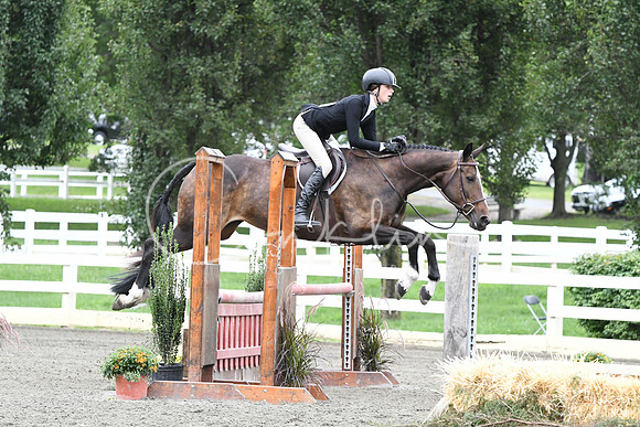 HSM_4423