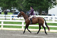 HSM_2819