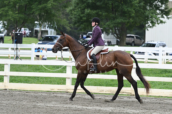 HSM_2819
