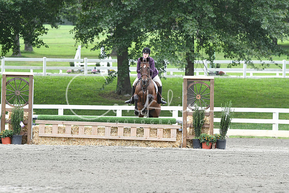 HSM_2822