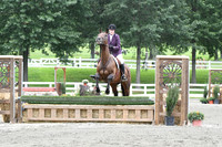 HSM_2825