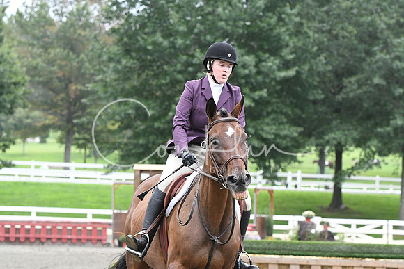 HSM_2828