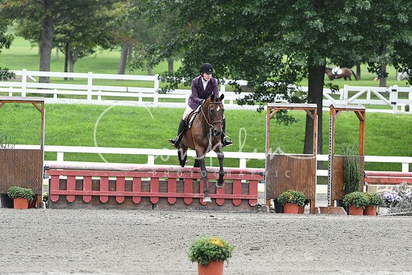 HSM_2831