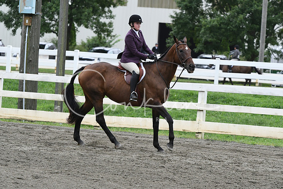 HSM_2881