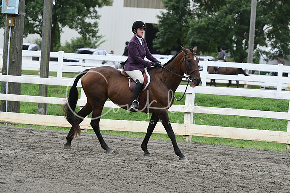 HSM_2882