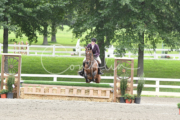 HSM_2948