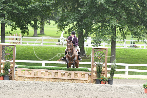 HSM_2949