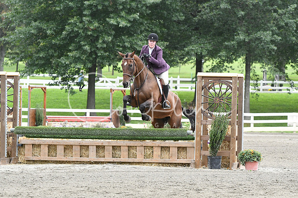 HSM_2950