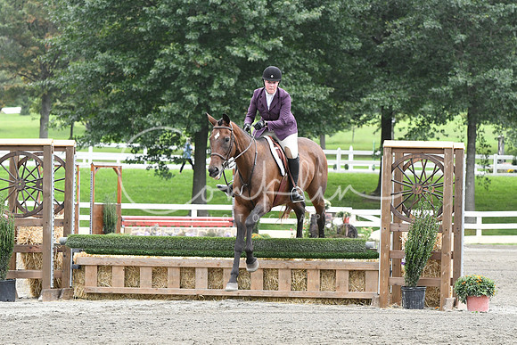HSM_2952