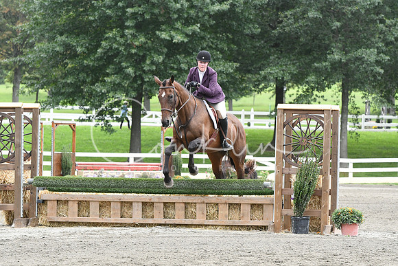 HSM_2951