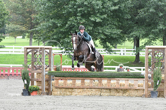 HSM_4146