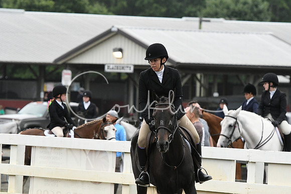HSM_1645