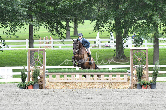HSM_4473