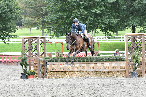 HSM_4478