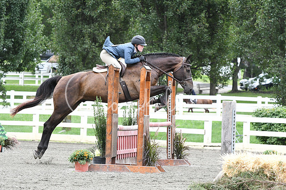 HSM_4508