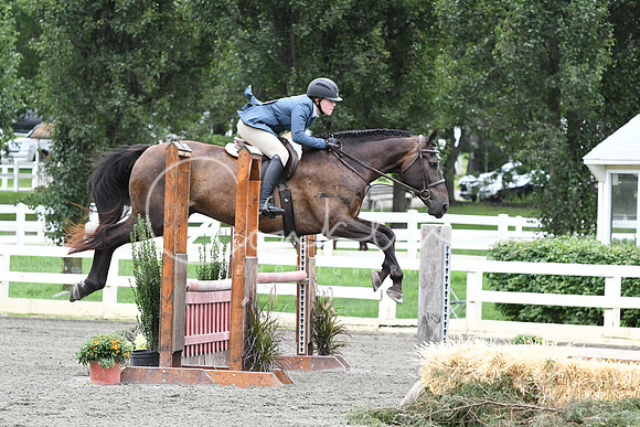 HSM_4509