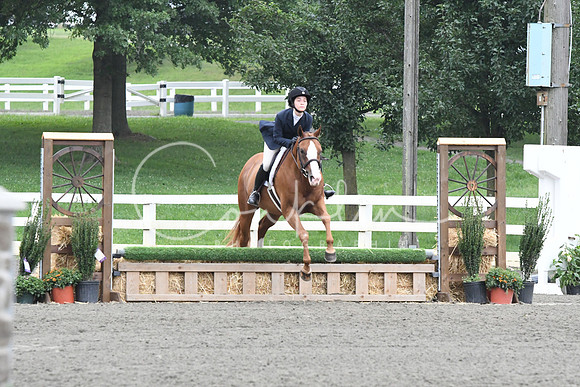 HSM_2167