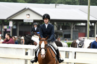 HSM_2174