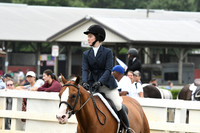 HSM_2175
