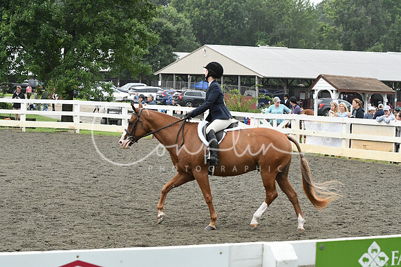 HSM_2177